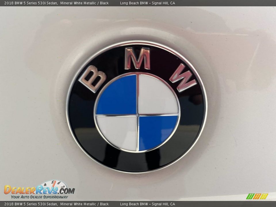 2018 BMW 5 Series 530i Sedan Mineral White Metallic / Black Photo #10