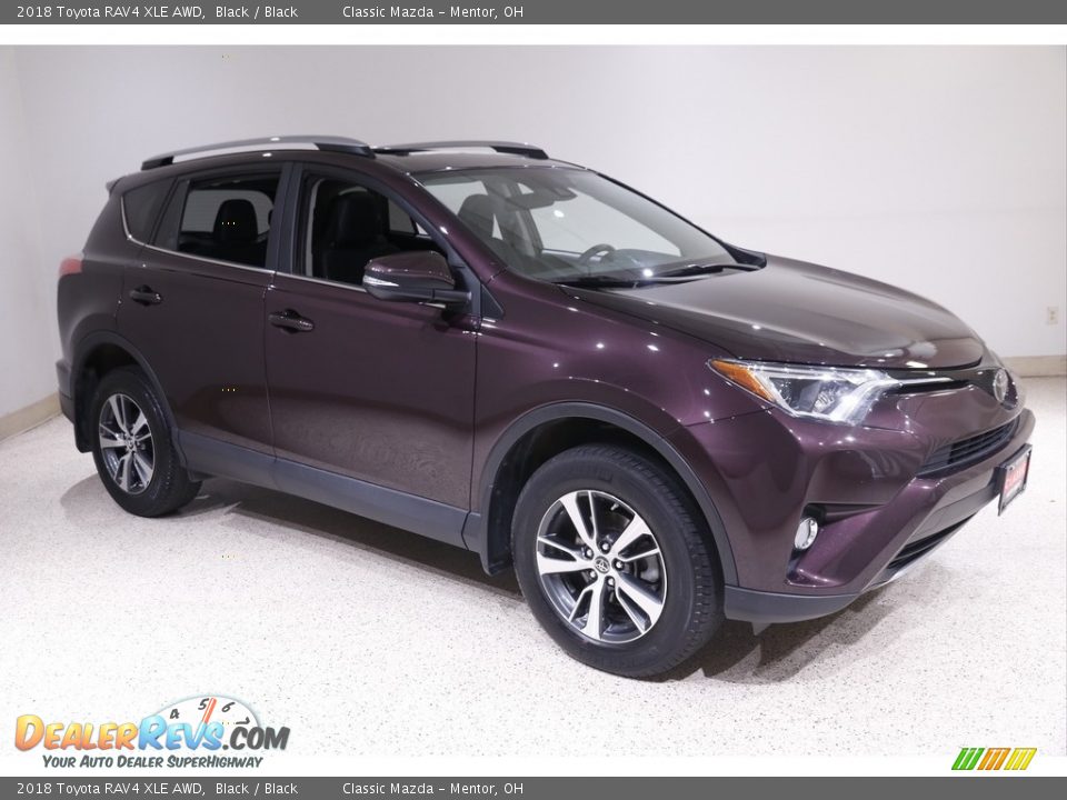 2018 Toyota RAV4 XLE AWD Black / Black Photo #1