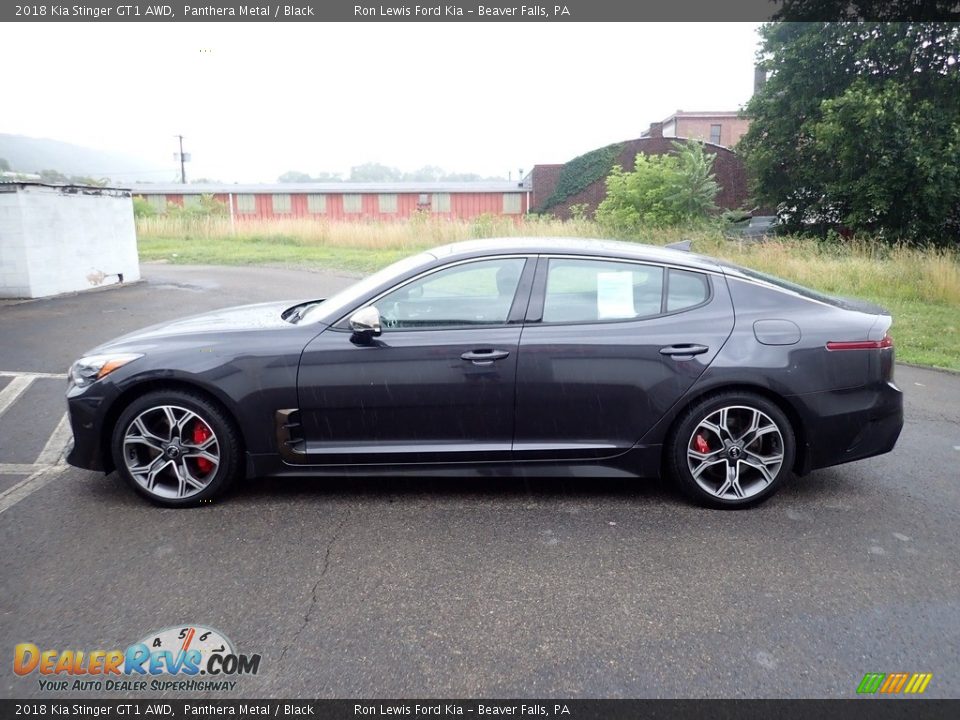 Panthera Metal 2018 Kia Stinger GT1 AWD Photo #6