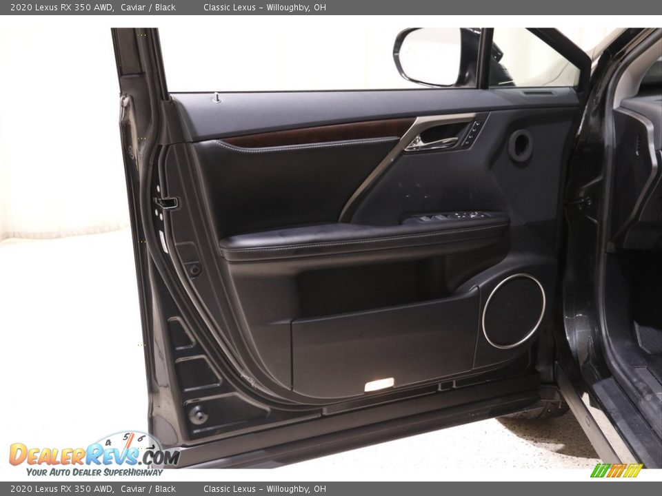Door Panel of 2020 Lexus RX 350 AWD Photo #4