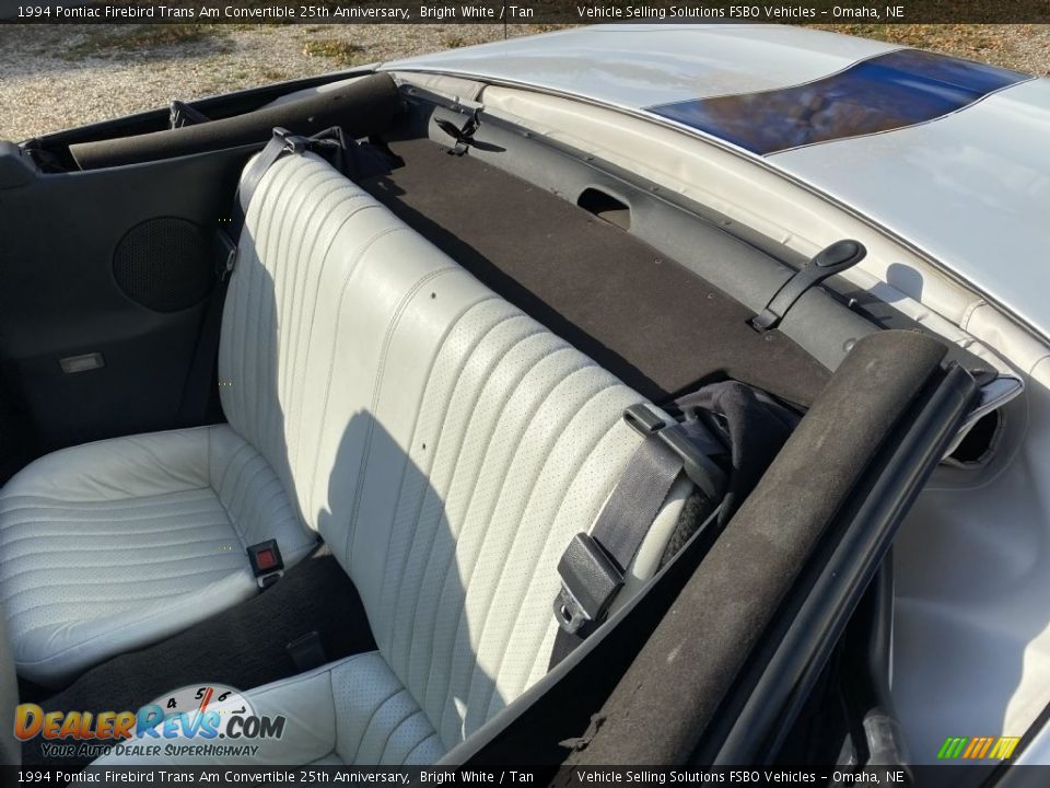 Rear Seat of 1994 Pontiac Firebird Trans Am Convertible 25th Anniversary Photo #5