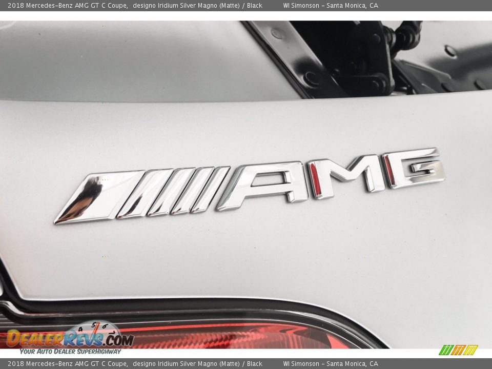 2018 Mercedes-Benz AMG GT C Coupe designo Iridium Silver Magno (Matte) / Black Photo #17