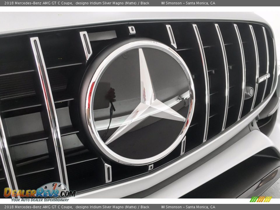 2018 Mercedes-Benz AMG GT C Coupe designo Iridium Silver Magno (Matte) / Black Photo #33