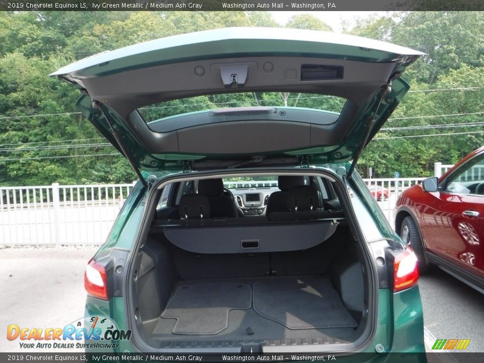 2019 Chevrolet Equinox LS Ivy Green Metallic / Medium Ash Gray Photo #23