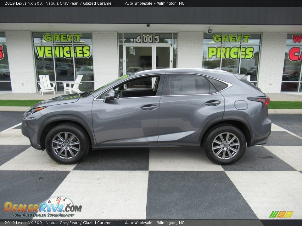 2019 Lexus NX 300 Nebula Gray Pearl / Glazed Caramel Photo #1