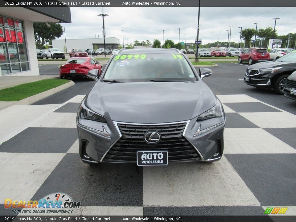 2019 Lexus NX 300 Nebula Gray Pearl / Glazed Caramel Photo #2