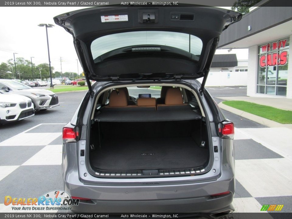 2019 Lexus NX 300 Nebula Gray Pearl / Glazed Caramel Photo #5