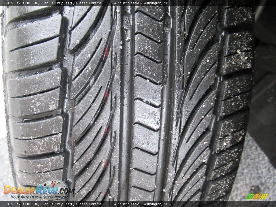 2019 Lexus NX 300 Nebula Gray Pearl / Glazed Caramel Photo #9