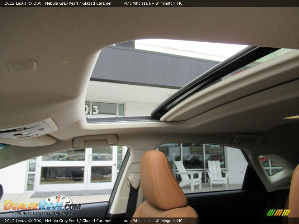 2019 Lexus NX 300 Nebula Gray Pearl / Glazed Caramel Photo #11