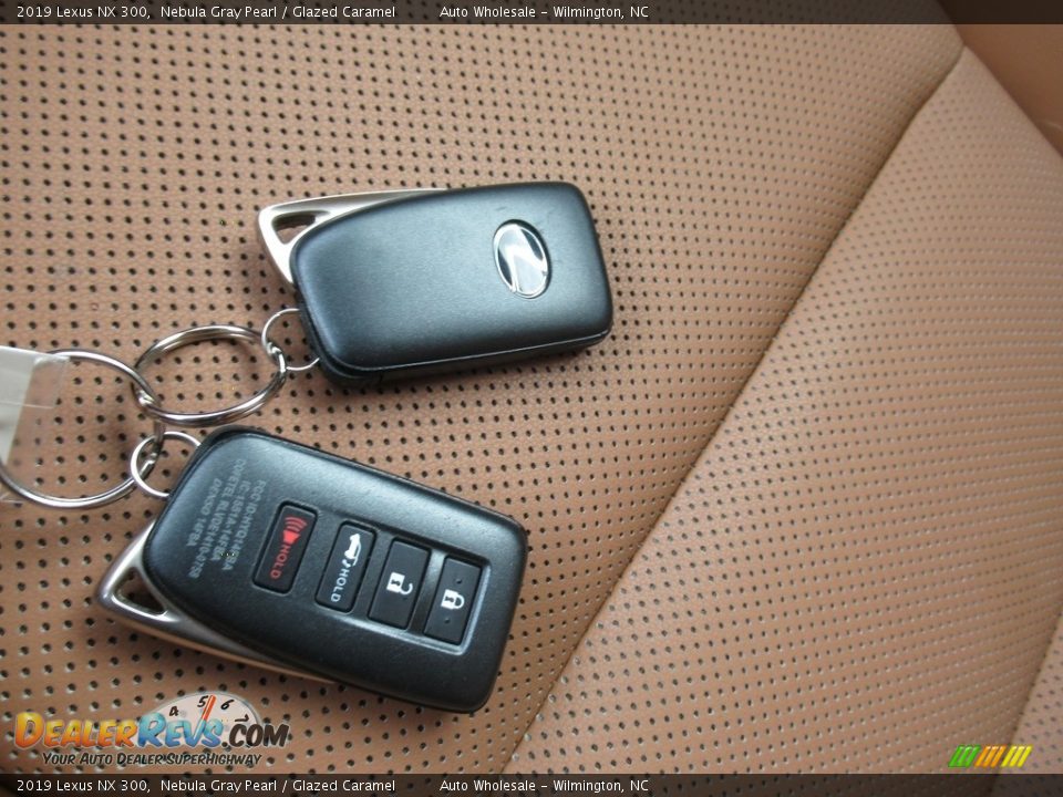 2019 Lexus NX 300 Nebula Gray Pearl / Glazed Caramel Photo #20