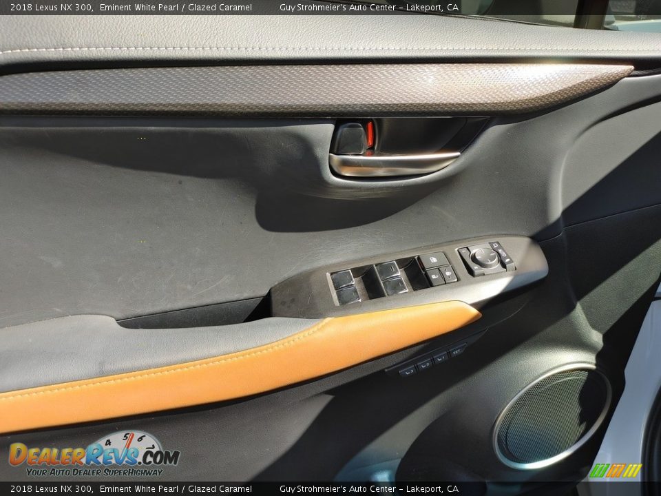 Door Panel of 2018 Lexus NX 300 Photo #11