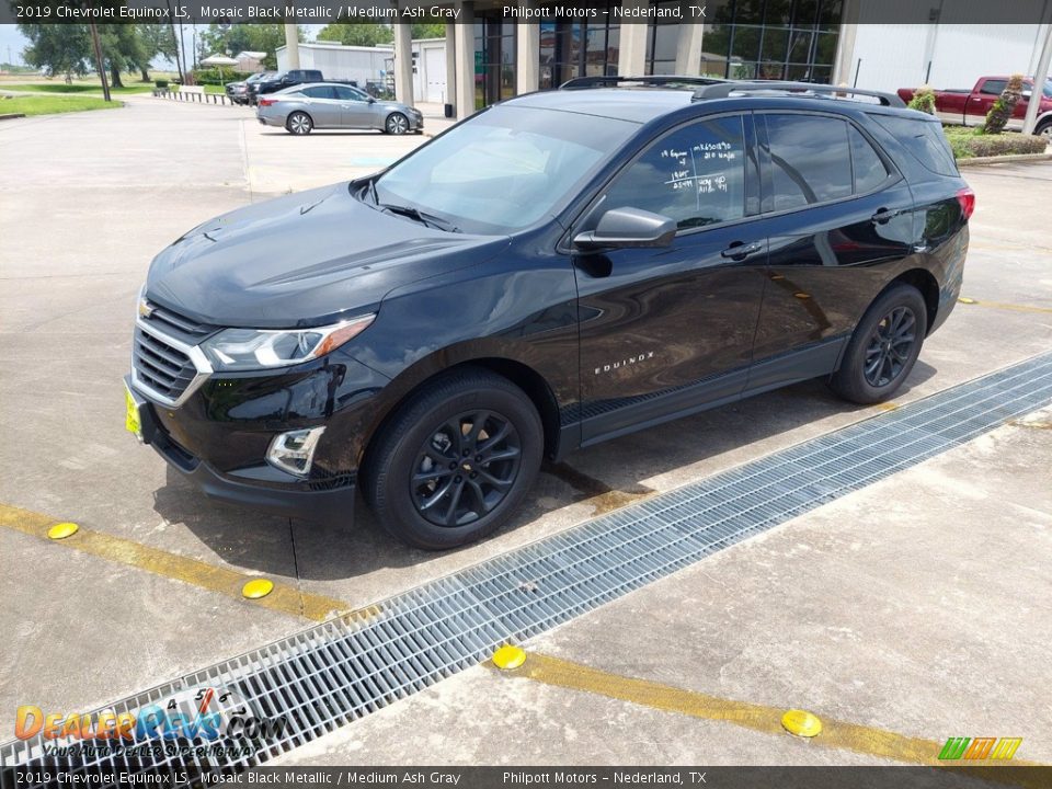 2019 Chevrolet Equinox LS Mosaic Black Metallic / Medium Ash Gray Photo #3