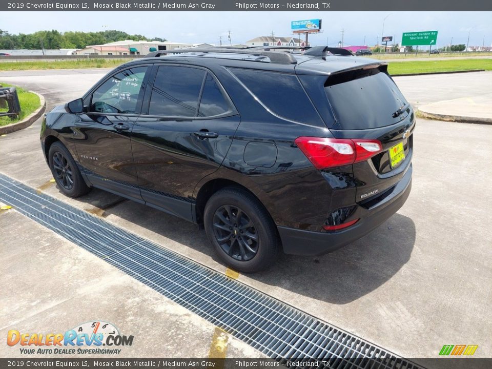 2019 Chevrolet Equinox LS Mosaic Black Metallic / Medium Ash Gray Photo #5