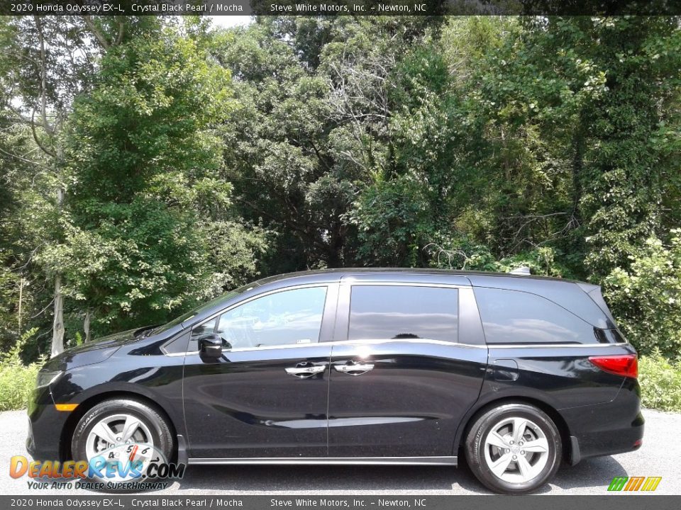 2020 Honda Odyssey EX-L Crystal Black Pearl / Mocha Photo #1