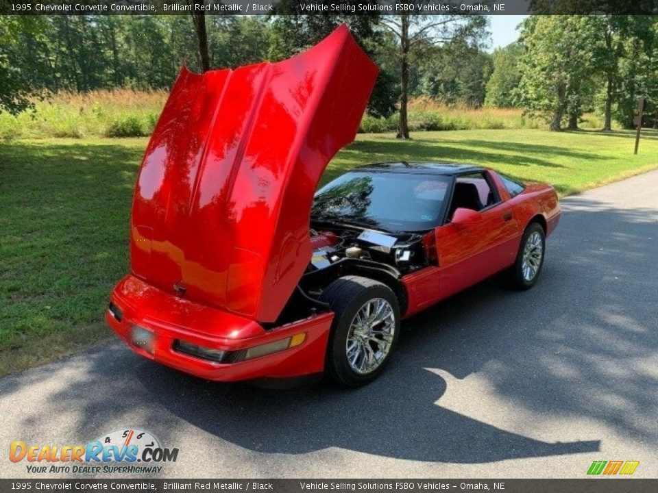 1995 Chevrolet Corvette Convertible Brilliant Red Metallic / Black Photo #5