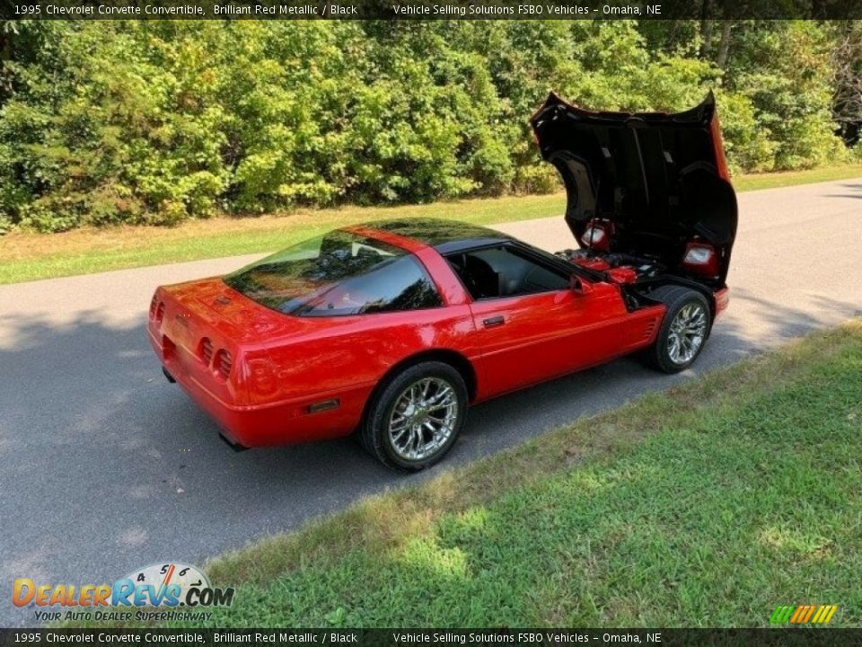 1995 Chevrolet Corvette Convertible Brilliant Red Metallic / Black Photo #6