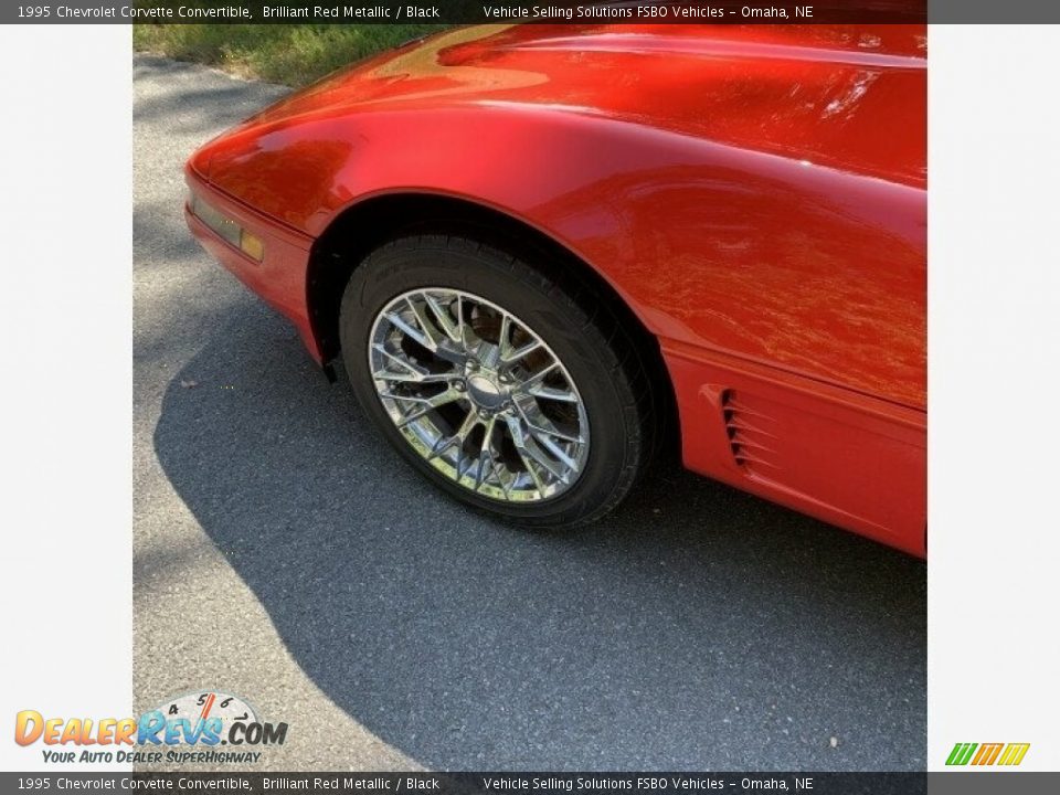 1995 Chevrolet Corvette Convertible Brilliant Red Metallic / Black Photo #7