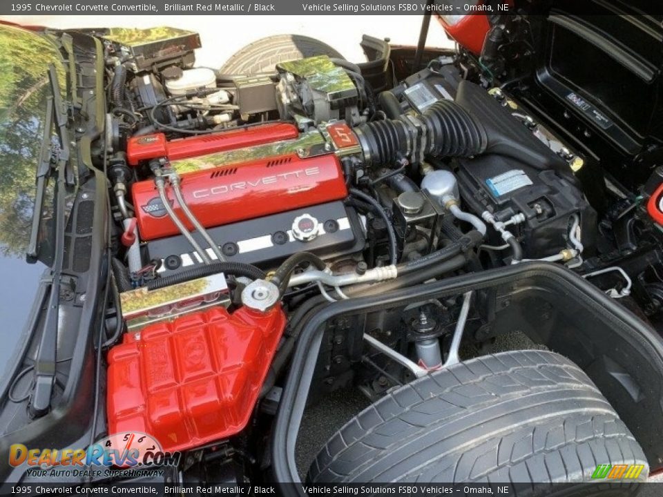 1995 Chevrolet Corvette Convertible Brilliant Red Metallic / Black Photo #8