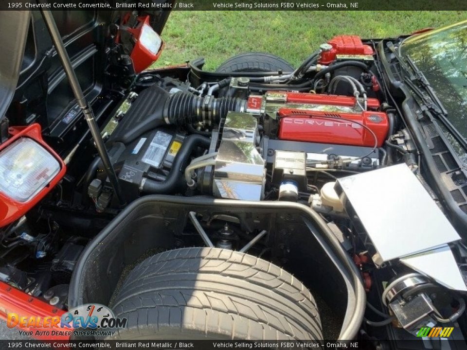 1995 Chevrolet Corvette Convertible Brilliant Red Metallic / Black Photo #9