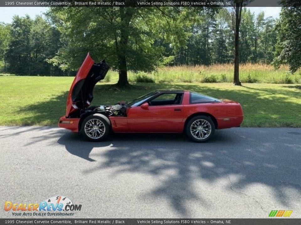 1995 Chevrolet Corvette Convertible Brilliant Red Metallic / Black Photo #11