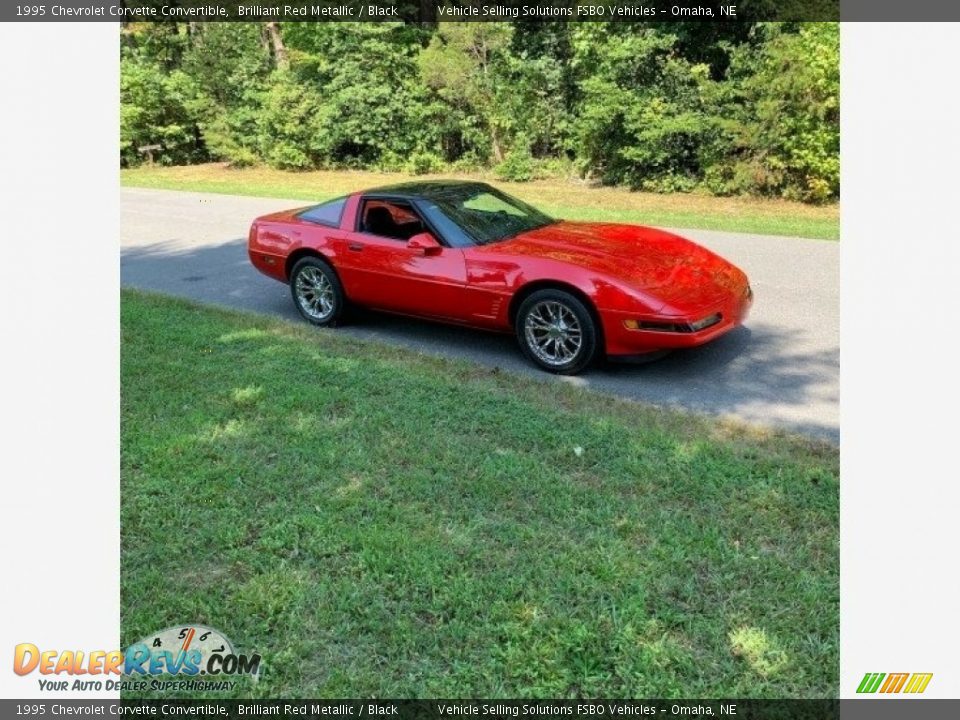 1995 Chevrolet Corvette Convertible Brilliant Red Metallic / Black Photo #13