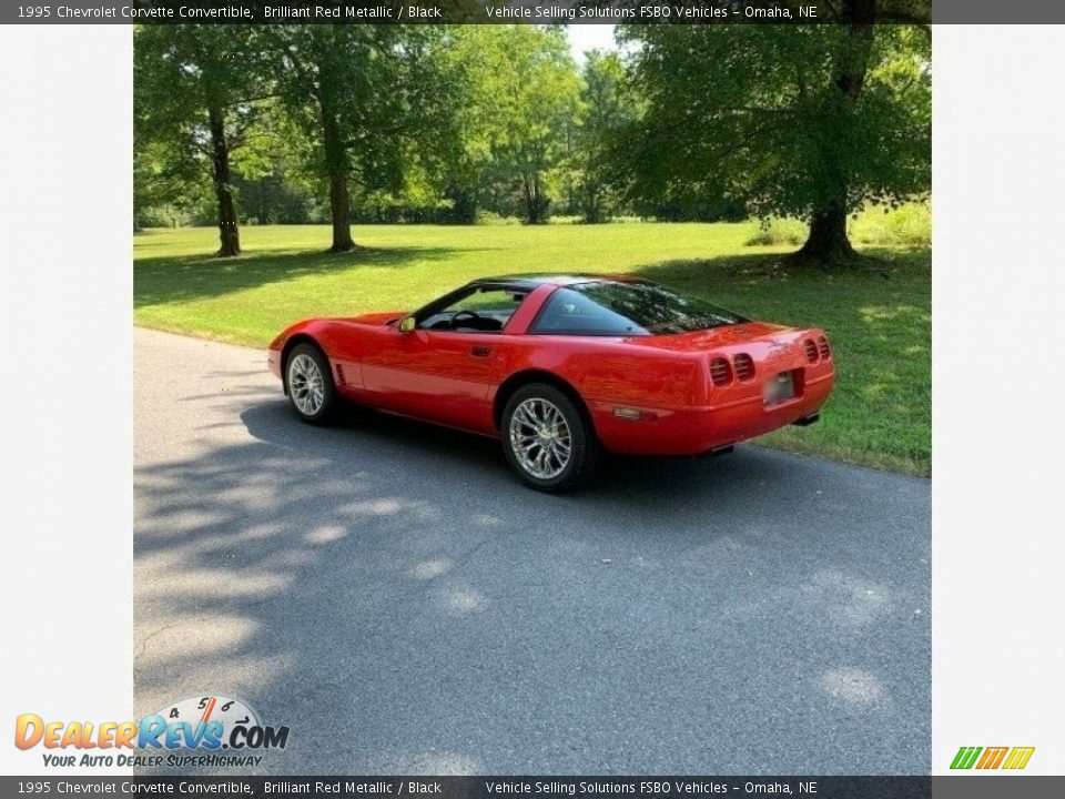 1995 Chevrolet Corvette Convertible Brilliant Red Metallic / Black Photo #14