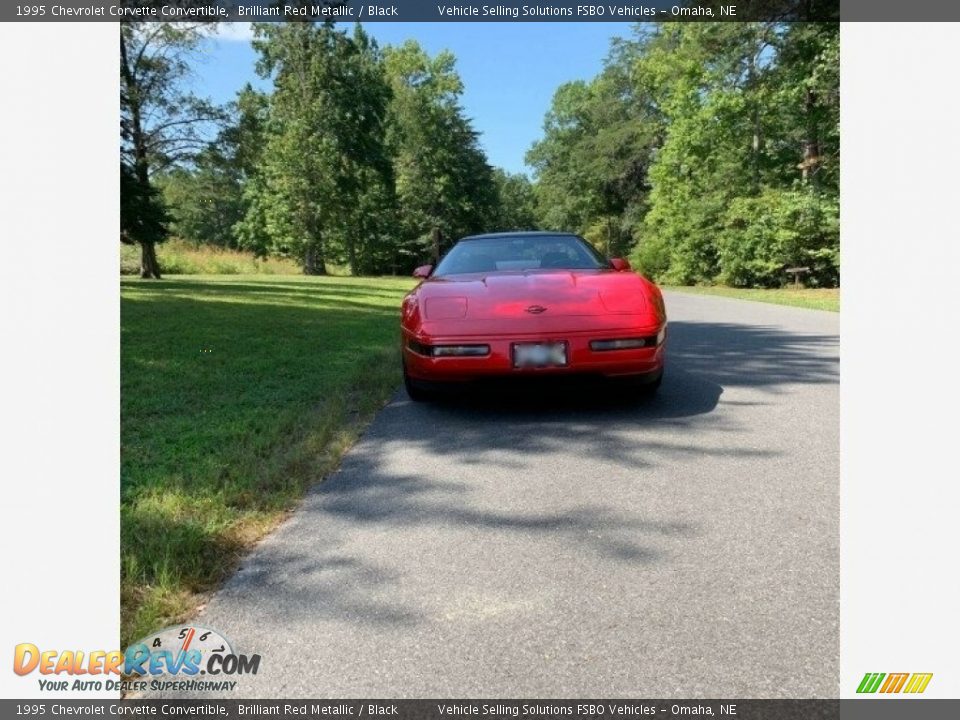 1995 Chevrolet Corvette Convertible Brilliant Red Metallic / Black Photo #15
