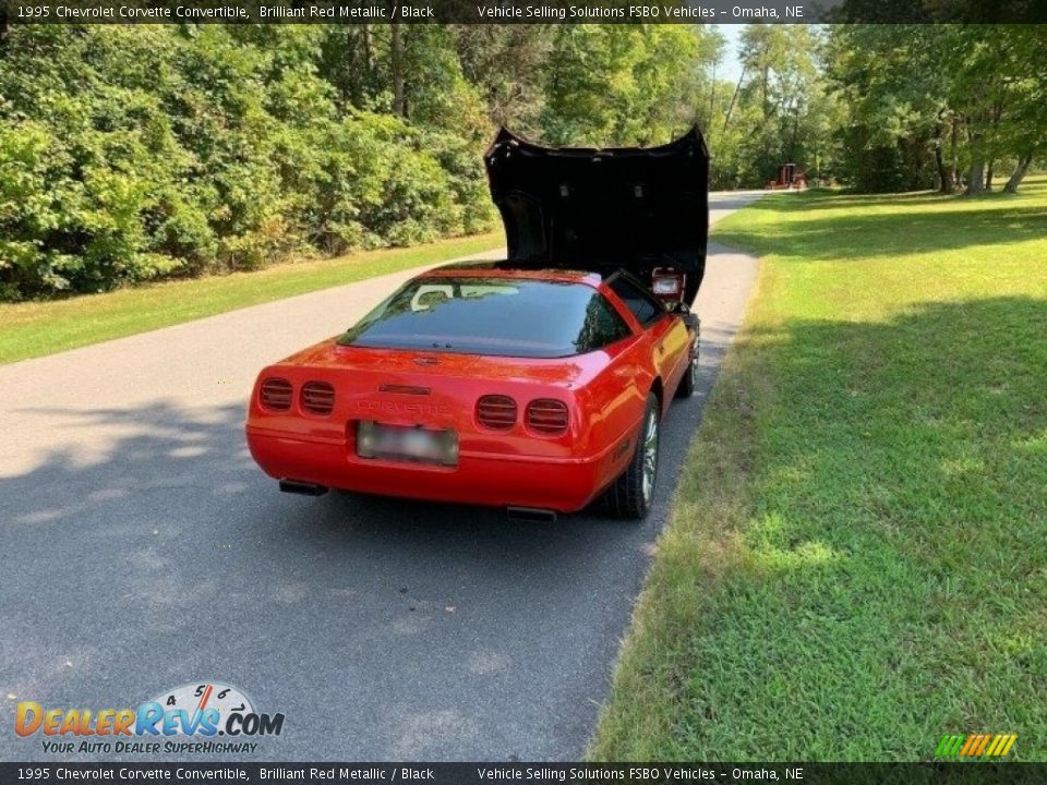 1995 Chevrolet Corvette Convertible Brilliant Red Metallic / Black Photo #20