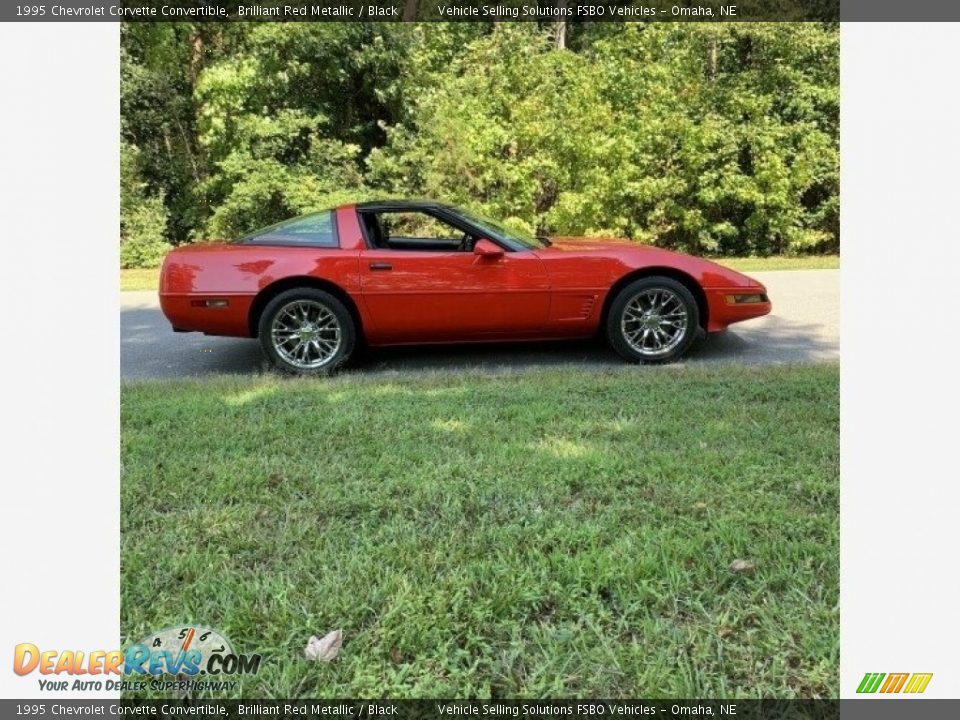 1995 Chevrolet Corvette Convertible Brilliant Red Metallic / Black Photo #23