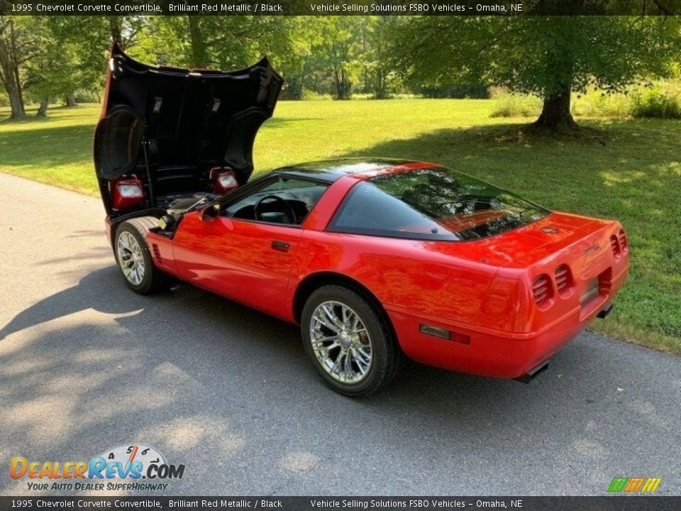 1995 Chevrolet Corvette Convertible Brilliant Red Metallic / Black Photo #25