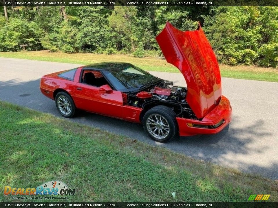 1995 Chevrolet Corvette Convertible Brilliant Red Metallic / Black Photo #27