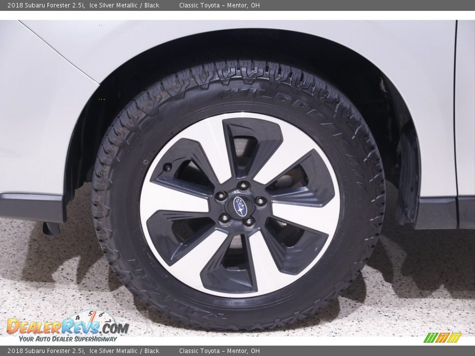 2018 Subaru Forester 2.5i Ice Silver Metallic / Black Photo #23