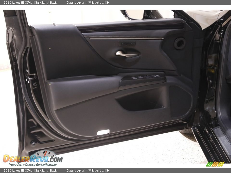 Door Panel of 2020 Lexus ES 350 Photo #4