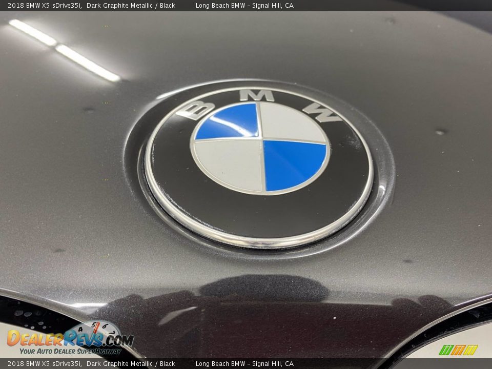 2018 BMW X5 sDrive35i Dark Graphite Metallic / Black Photo #8