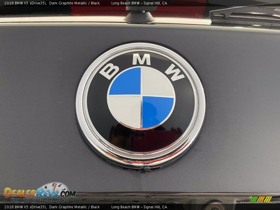 2018 BMW X5 sDrive35i Dark Graphite Metallic / Black Photo #10