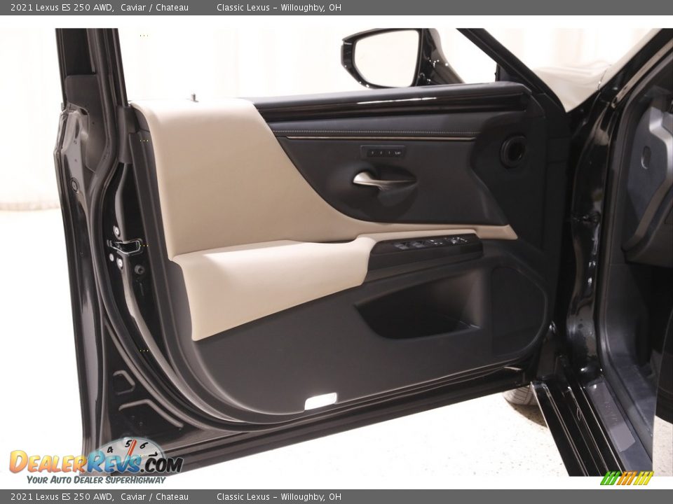 Door Panel of 2021 Lexus ES 250 AWD Photo #4