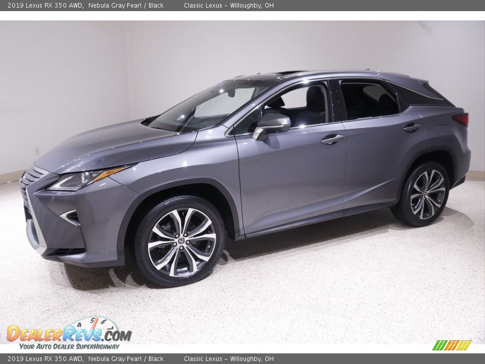 2019 Lexus RX 350 AWD Nebula Gray Pearl / Black Photo #3