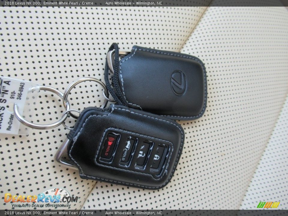 Keys of 2018 Lexus NX 300 Photo #20