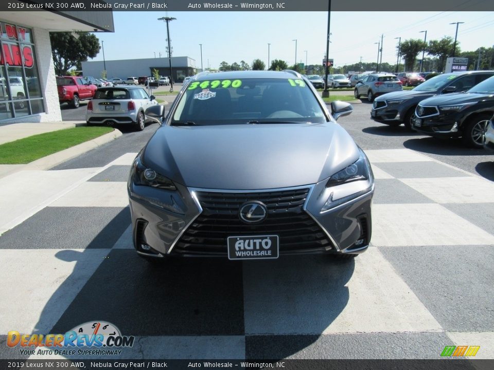 2019 Lexus NX 300 AWD Nebula Gray Pearl / Black Photo #2