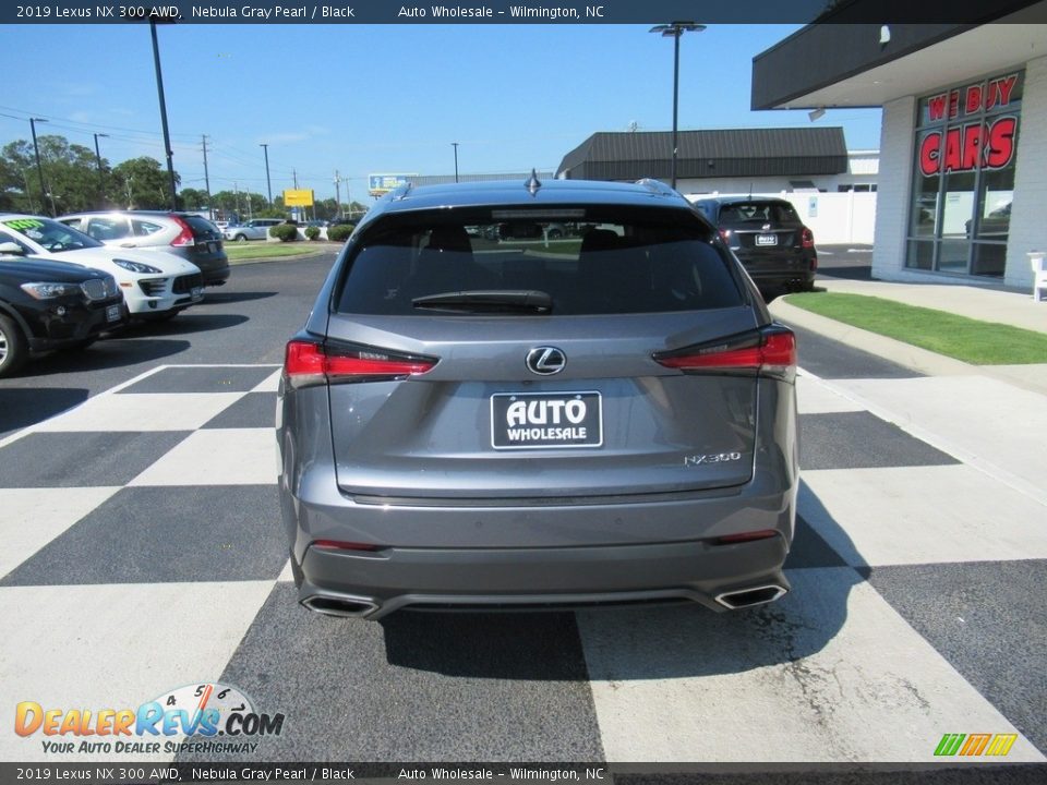 2019 Lexus NX 300 AWD Nebula Gray Pearl / Black Photo #4