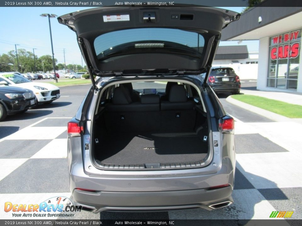 2019 Lexus NX 300 AWD Nebula Gray Pearl / Black Photo #5