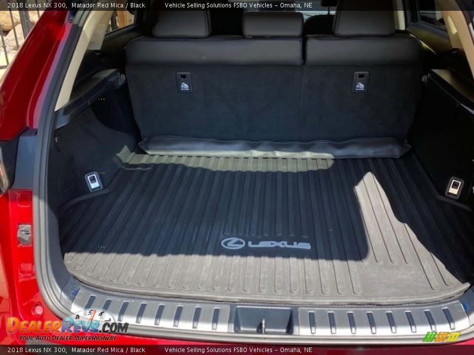 2018 Lexus NX 300 Trunk Photo #5