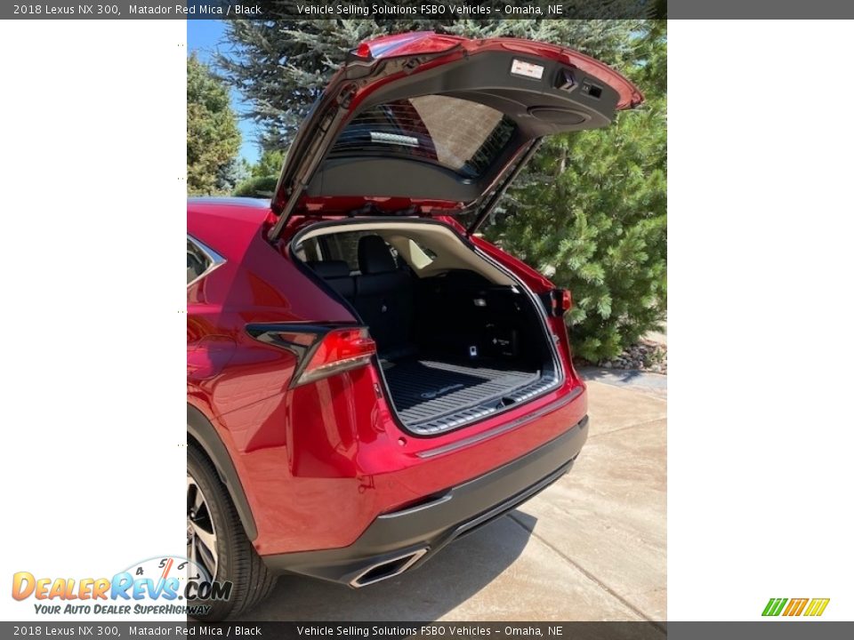 2018 Lexus NX 300 Trunk Photo #6