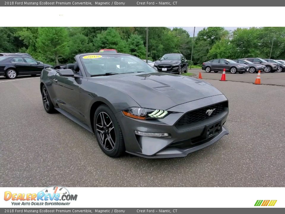 2018 Ford Mustang EcoBoost Premium Convertible Magnetic / Ebony Photo #1
