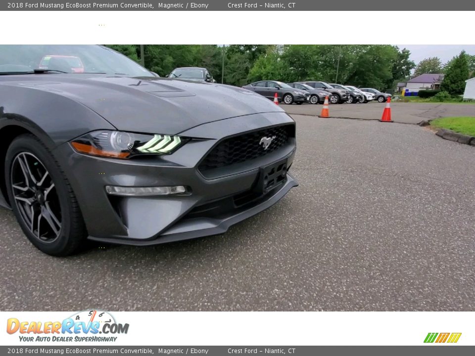 2018 Ford Mustang EcoBoost Premium Convertible Magnetic / Ebony Photo #29