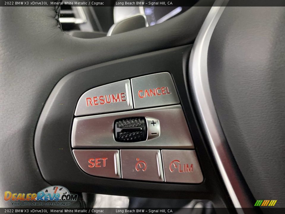 2022 BMW X3 xDrive30i Steering Wheel Photo #15