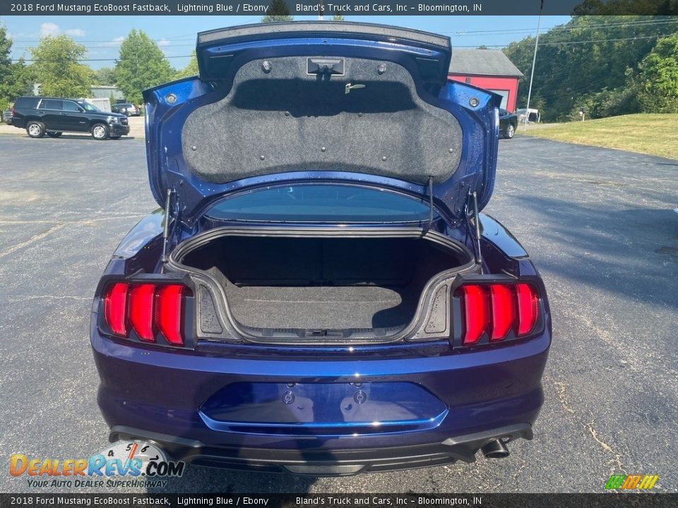 2018 Ford Mustang EcoBoost Fastback Lightning Blue / Ebony Photo #9