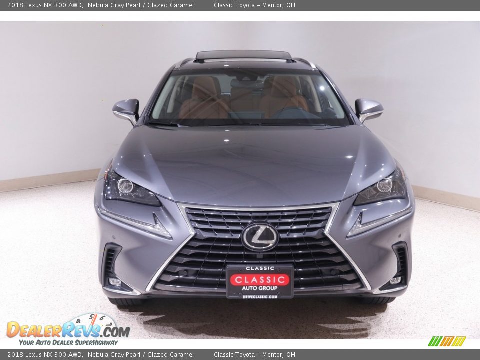 2018 Lexus NX 300 AWD Nebula Gray Pearl / Glazed Caramel Photo #2