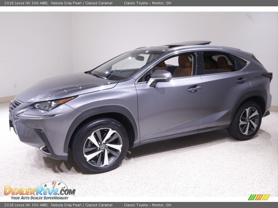 2018 Lexus NX 300 AWD Nebula Gray Pearl / Glazed Caramel Photo #3