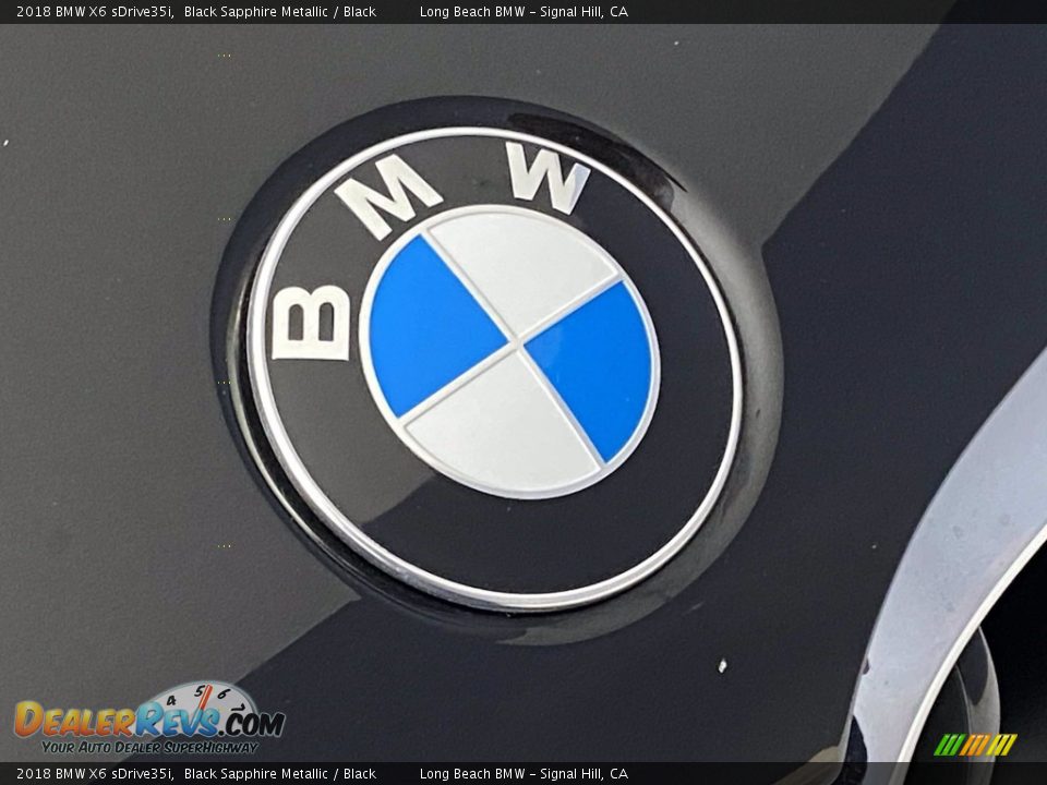 2018 BMW X6 sDrive35i Black Sapphire Metallic / Black Photo #8